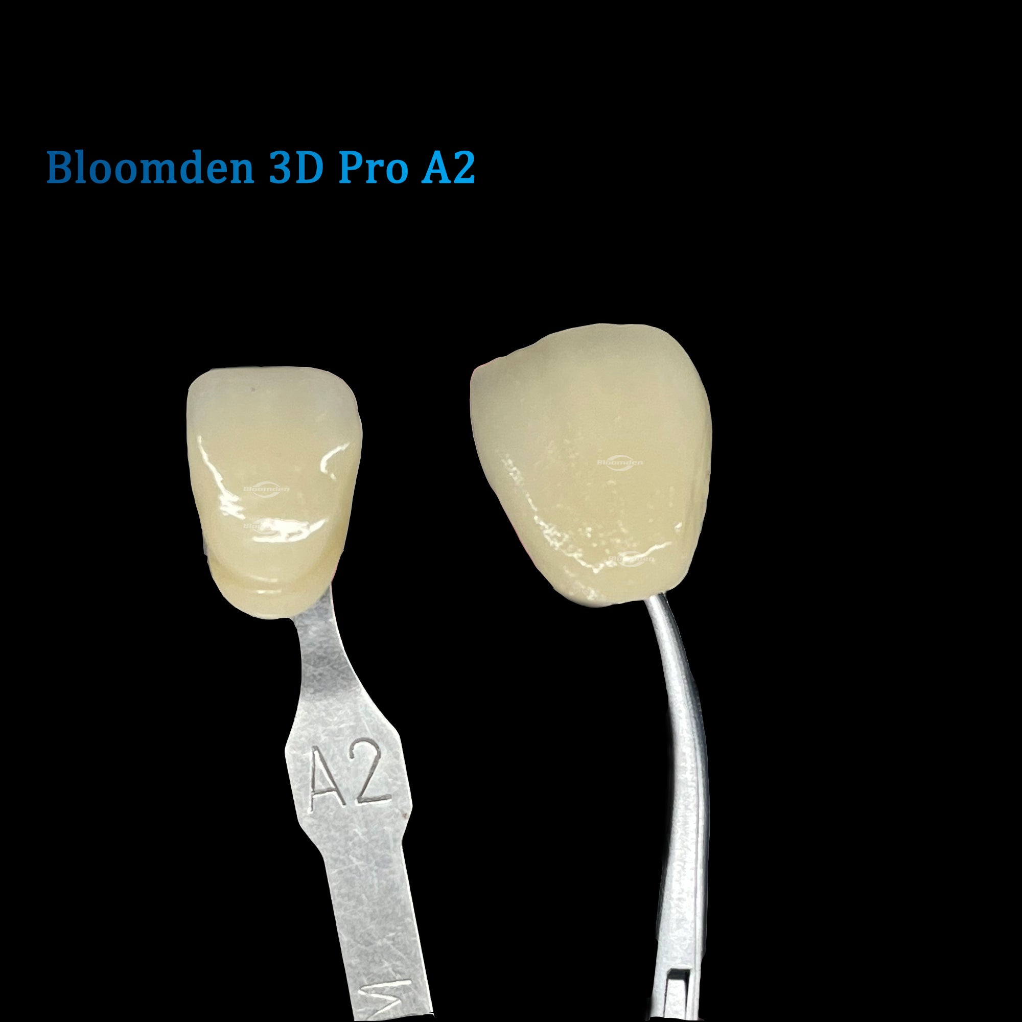 🦷 Bloomden 3D Multilayer Zirconia Block