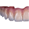 🦷 Bloomden 3D Multilayer Zirconia Block